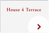 House 4 Terrace
